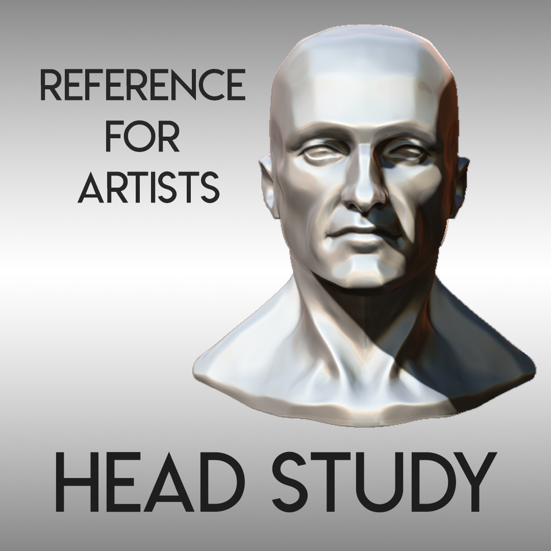 STL file HEAD STUDY FOR REFERENCE 🧑‍🏫・3D printable model to download・Cults